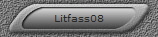 Litfass08