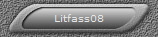 Litfass08